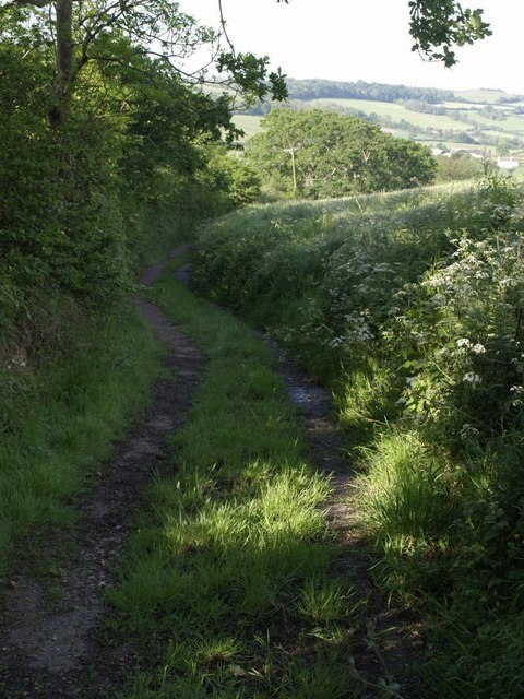 Foto „Combpyne Rousdon“ von Derek Harper (CC BY-SA)/zugeschnittenes Original