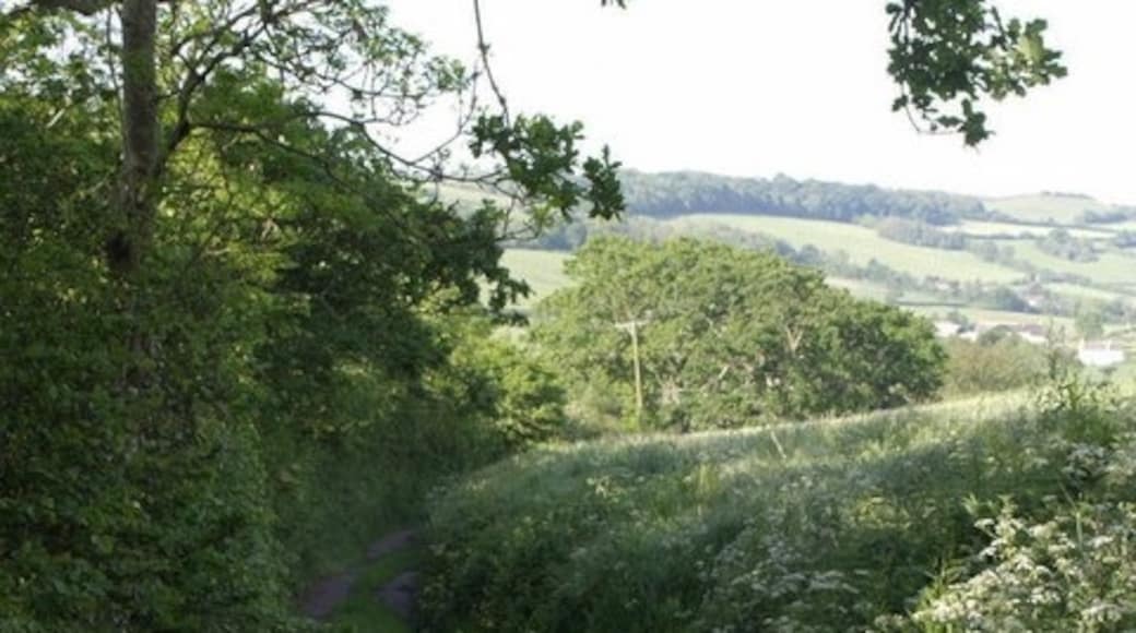 Foto „Combpyne Rousdon“ von Derek Harper (CC BY-SA)/zugeschnittenes Original