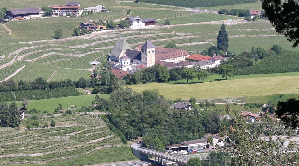 Foto "Riga Davanti" por SBT (CC BY-SA) / Recortada de la original