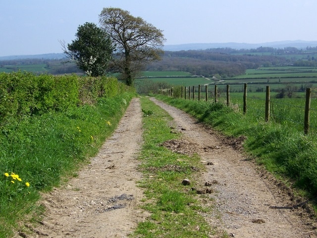 Footpath from Chickwell Lane Initially a wide track, this footpath takes walkers to Buckland Dinham.