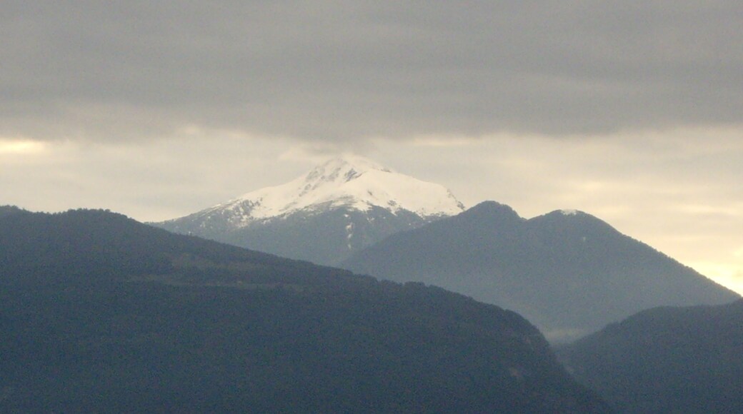Photo "Monticolo" by Figure (CC BY-SA) / Cropped from original