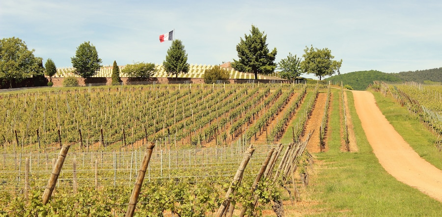 2017-05-21-11-39-27_Les Forts Trotters_au Sentier des Grands Crus