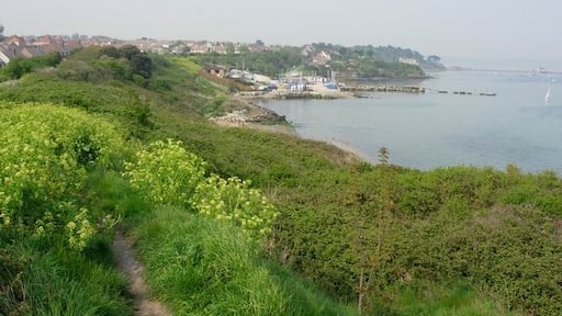 Foto “Wyke Regis” tomada por Hugh Venables (CC BY-SA); recorte de la original