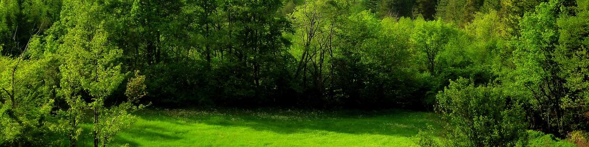 Photo "29010 Pecorara, Province of Piacenza, Italy" by nardi1987 (Creative Commons Attribution 3.0) / Cropped from original