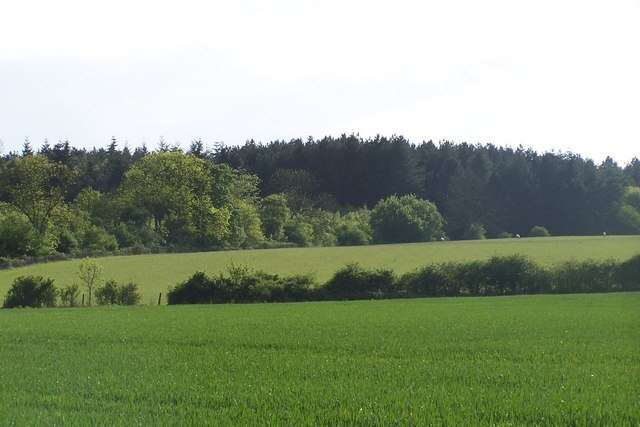 Daintry Woods Just on the outskirts of Tingrith