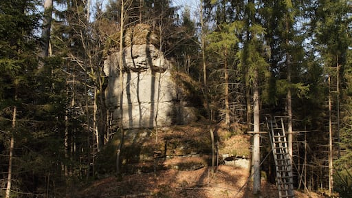 Foto „Veldensteiner Forst“ von Sven-121 (CC0)/zugeschnittenes Original
