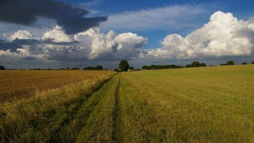 Kuva ”Little Canfield” käyttäjältä Glyn Baker (CC BY-SA) / rajattu alkuperäisestä kuvasta