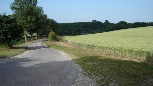 Foto „Eastfield“ von martin dawes (CC BY-SA)/zugeschnittenes Original