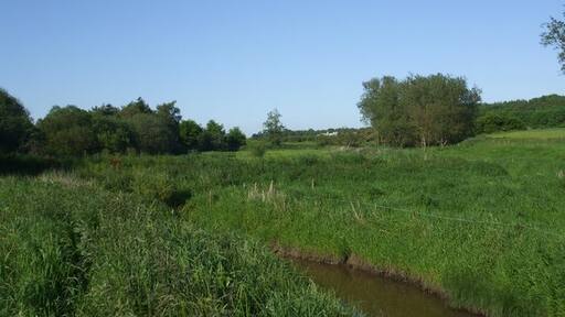 "Ellerton"-foto av Glyn Drury (CC BY-SA) / Urklipp från original