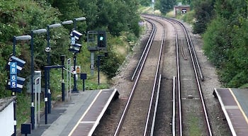 The Bexleyheath line at Falconwood Taken from the footbridge and looking towards Dartford. The next station is Welling. Falconwood Station opened after the rest of the Bexleyheath line on January 1, 1936. It is noticeable that electrical power is still picked up from power lines on the ground
