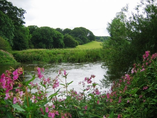 River Wear, Spring Wood and Dark Gill Wood Looking across the Wear past Spring Wood to the end of Dark Gill Wood