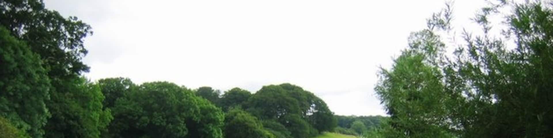 River Wear, Spring Wood and Dark Gill Wood Looking across the Wear past Spring Wood to the end of Dark Gill Wood