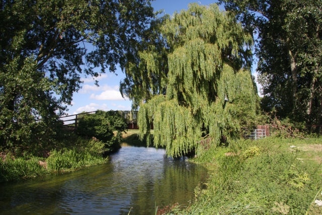 Bridge at Wamil Hall This private bridge, wide enough for motorised vehicles, crosses the River Lark and links Wamil Hall with the village of Worlington.