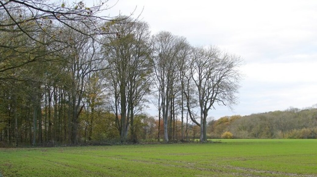 Billede "Hainton" af Ian Paterson (CC BY-SA) / beskåret fra det originale billede