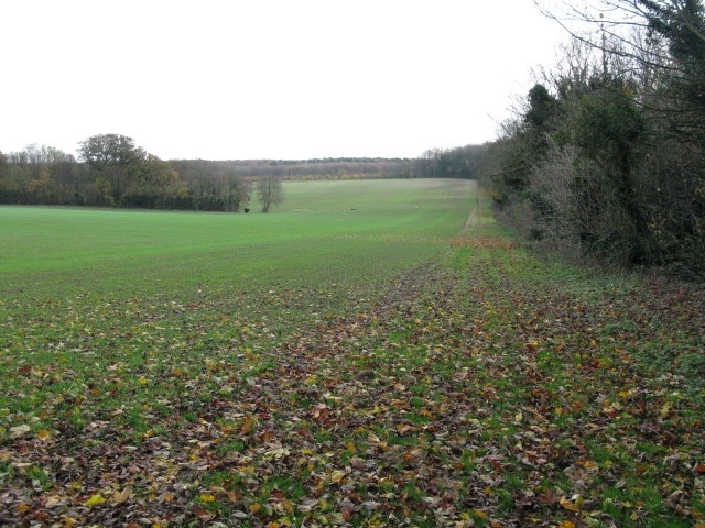 Footpath towards the A256 and Eastling Wood The footpath is shown on the map running along the northern edge of the wood but there were no signs either end.