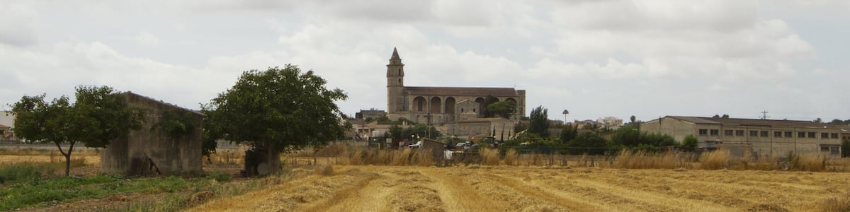 Photo "Petra, 07520, Balearic Islands, Spain" by trolvag (Creative Commons Attribution-Share Alike 3.0) / Cropped from original