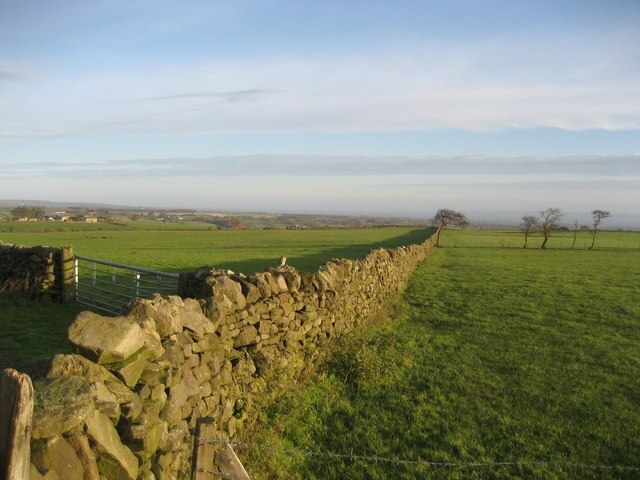 Foto “Eavestone” tomada por Chris Heaton (CC BY-SA); recorte de la original