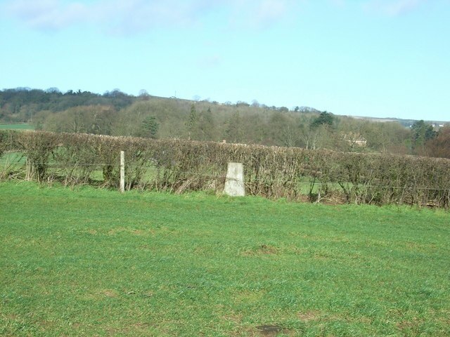 "Nash"-foto av David Luther Thomas (CC BY-SA) / Urklipp från original