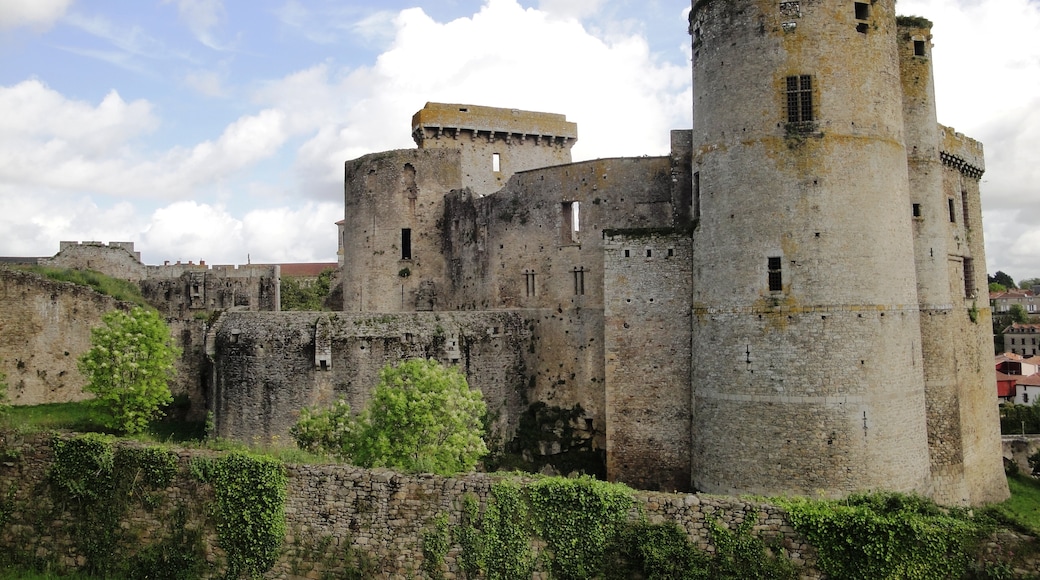"Clisson slott"-foto av Orikrin1998 (CC BY-SA) / Urklipp från original