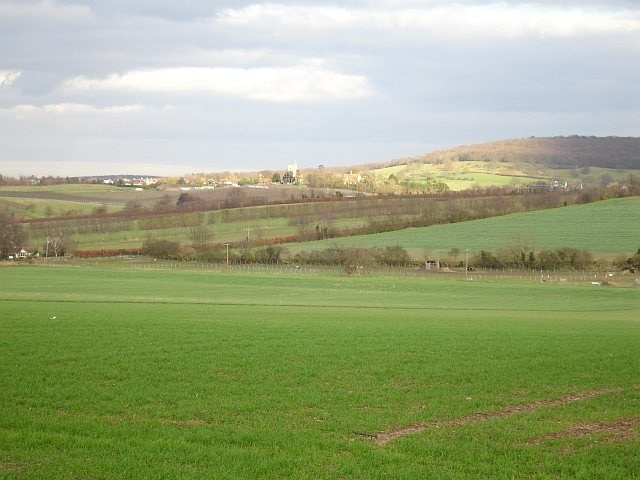 Hernhill In a rare bit of sunshine this February day. Viewed from 351021.