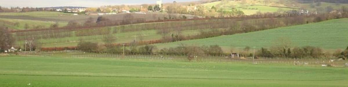 Photo "Hernhill In a rare bit of sunshine this February day. Viewed from 351021." by Penny Mayes (Creative Commons Attribution-Share Alike 2.0) / Cropped from original