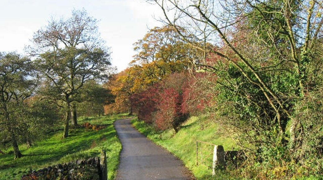 Photo "Marske" by Roger Gilbertson (CC BY-SA) / Cropped from original