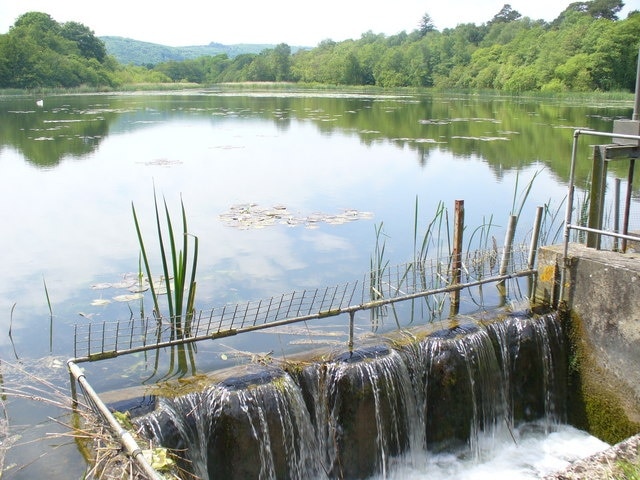 Kuva ”Barlavington” käyttäjältä Colin Smith (CC BY-SA) / rajattu alkuperäisestä kuvasta