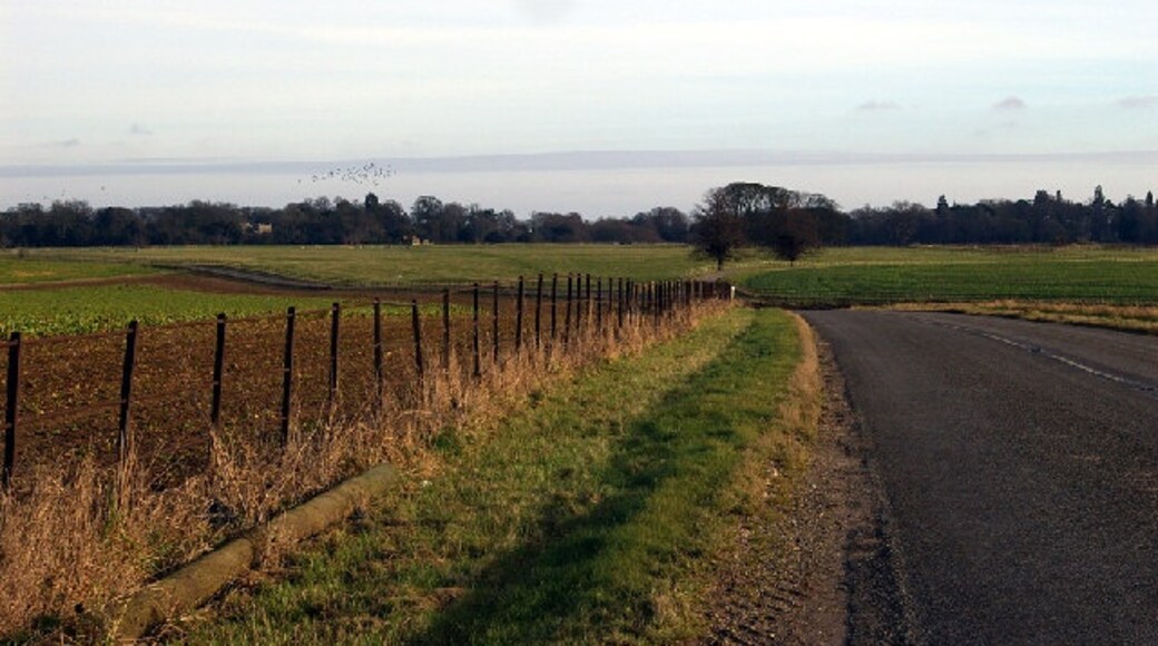 Kuva ”Brocklesby” käyttäjältä David Wright (CC BY-SA) / rajattu alkuperäisestä kuvasta