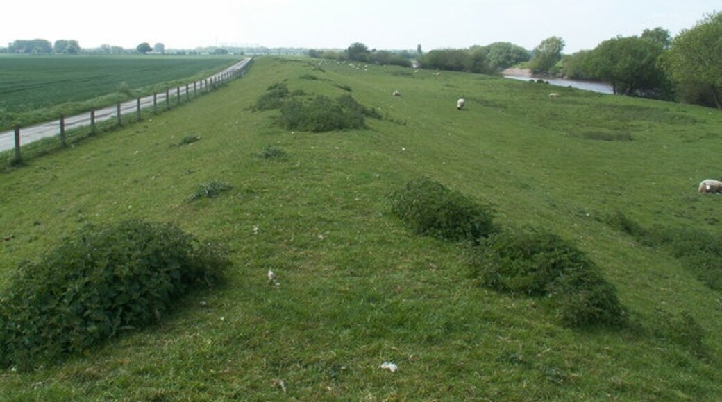 Foto “Barlow” tomada por Keith Rattenbury (CC BY-SA); recorte de la original