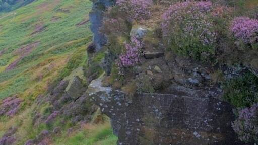 Ảnh "Kirkby" của Mick Garratt (CC BY-SA) / Cắt từ ảnh gốc