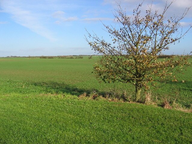 Foto “Bewholme” tomada por Stephen Horncastle (CC BY-SA); recorte de la original