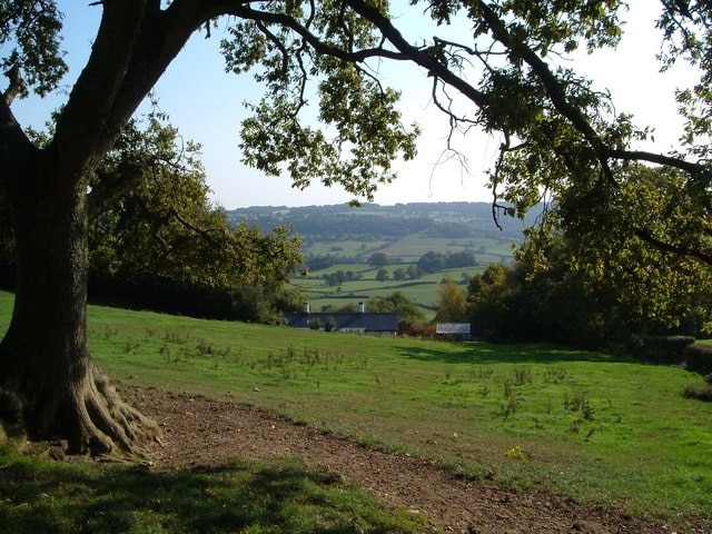 Near Yarcombe. Looking along Yarcombe Footpath 30 and across the Yarty valley, north of Yarcombe.