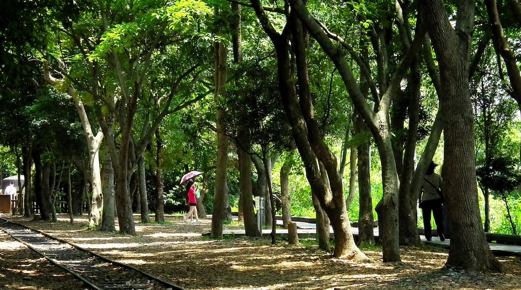 ภาพ "อุทยานป่าลั่วตง" โดย lienyuan lee (CC BY) / ตัดภาพจากขนาดต้นฉบับ