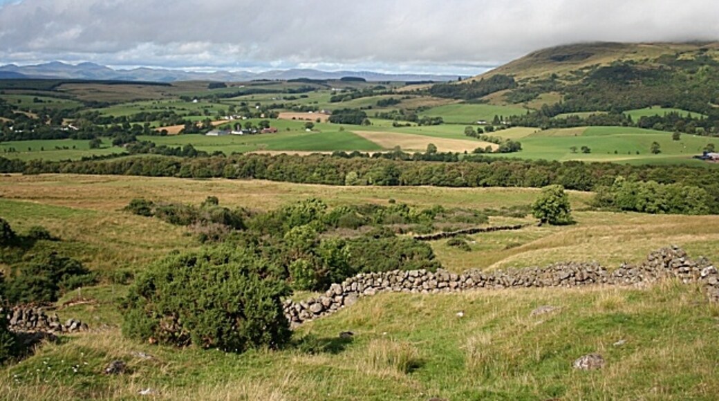 Photo "Fintry" by Anne Burgess (CC BY-SA) / Cropped from original