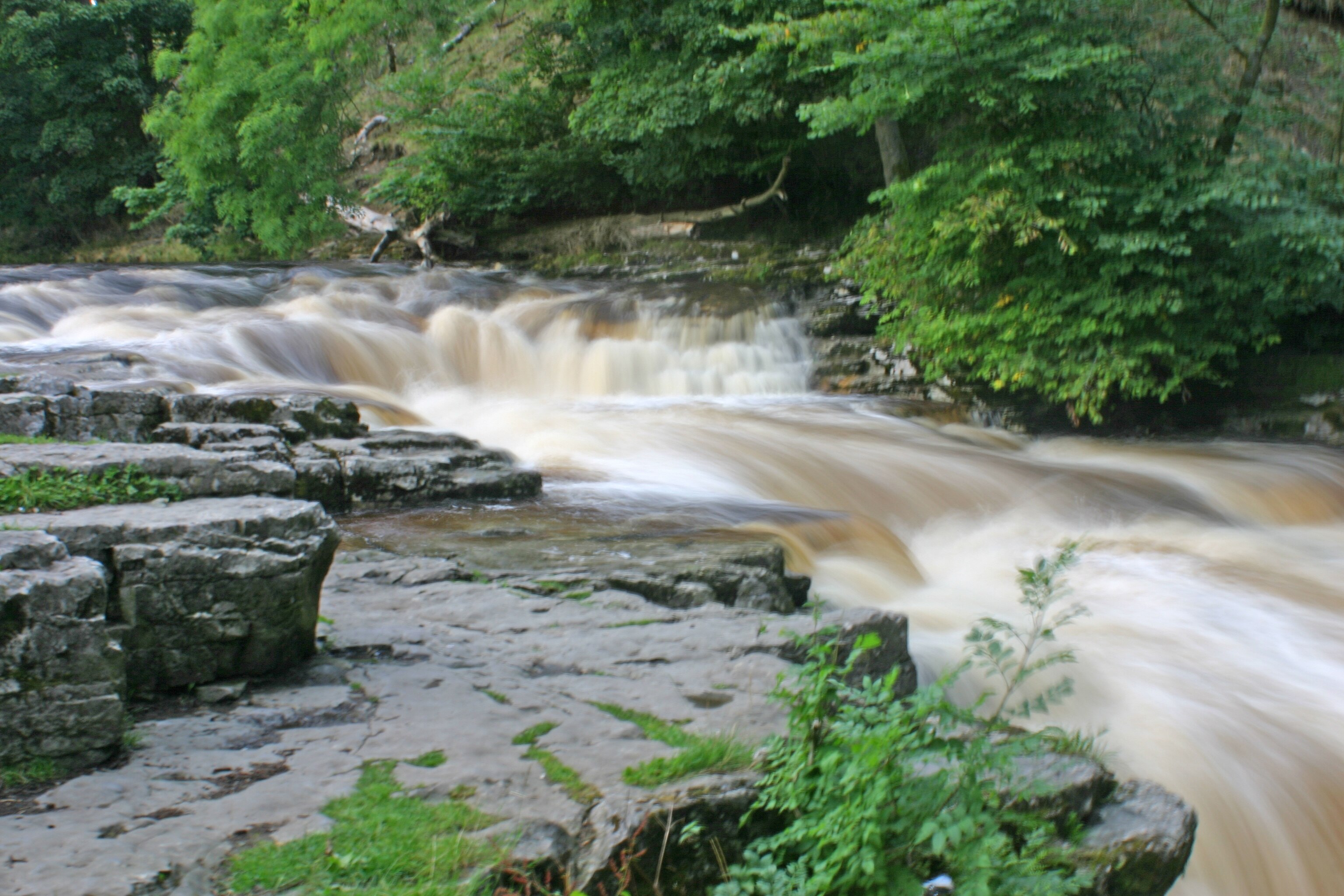 "Stainforth"-foto av Tony Hisgett (CC BY) / Urklipp från original