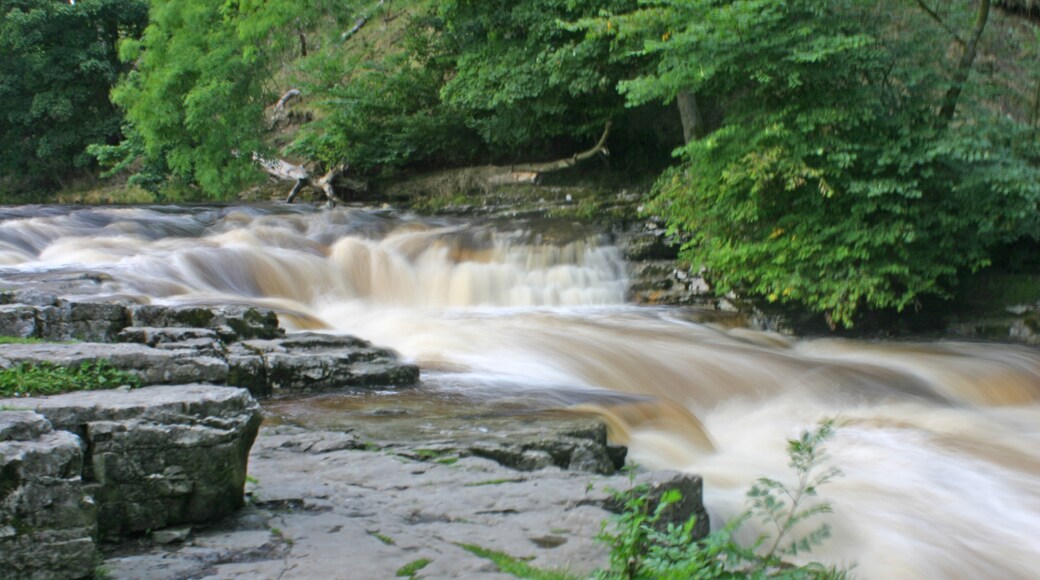 Foto "Stainforth" de Tony Hisgett (CC BY) / Recortada do original