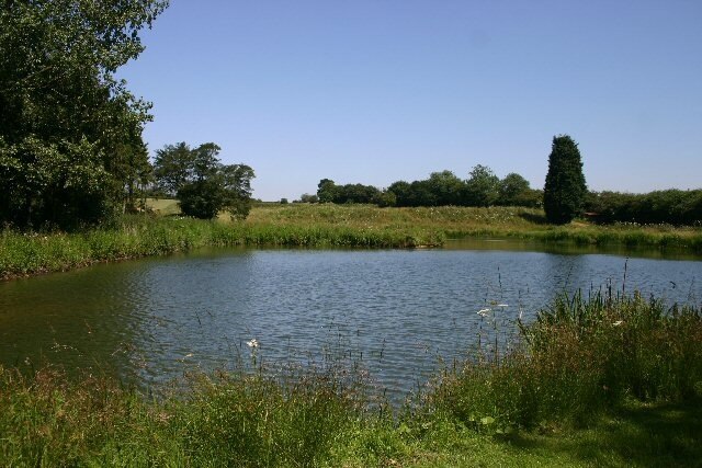 Kuva ”Stansfield” käyttäjältä Bob Jones (CC BY-SA) / rajattu alkuperäisestä kuvasta