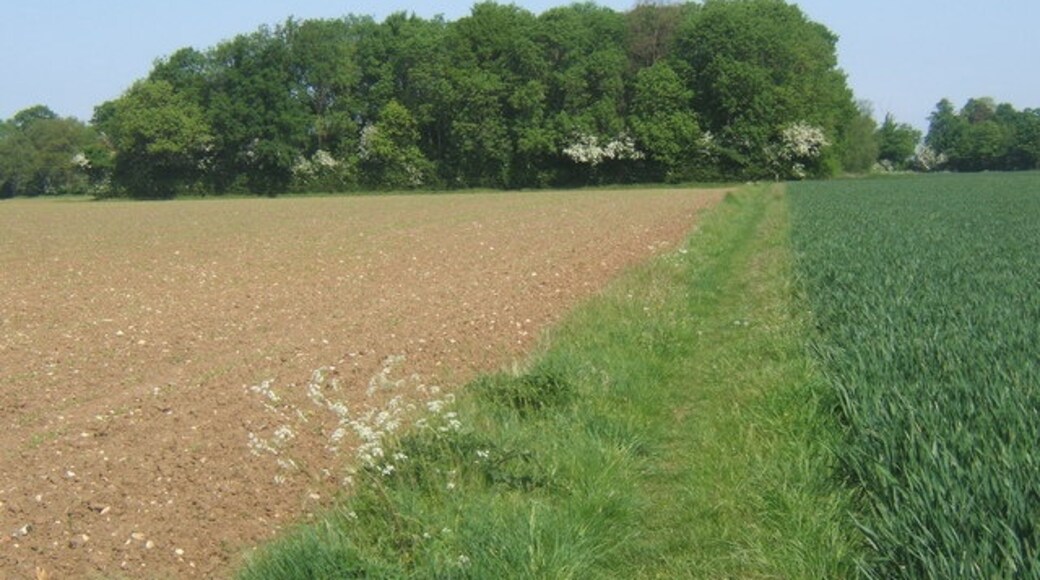 "Barningham"-foto av Andrew Hill (CC BY-SA) / Urklipp från original