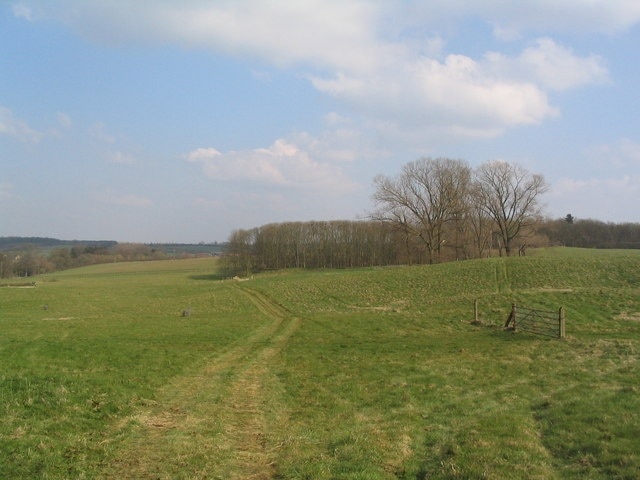 Fields and small wood south of Sudborough View east from the country road entering Sudborogh from the south