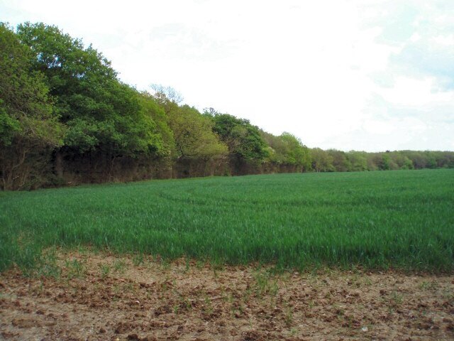 Billede "Radstone" af Duncan Lilly (CC BY-SA) / beskåret fra det originale billede