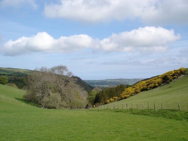 Moelfre Uchaf. Lower slopes of Moelfre Uchaf leading down to the valley.