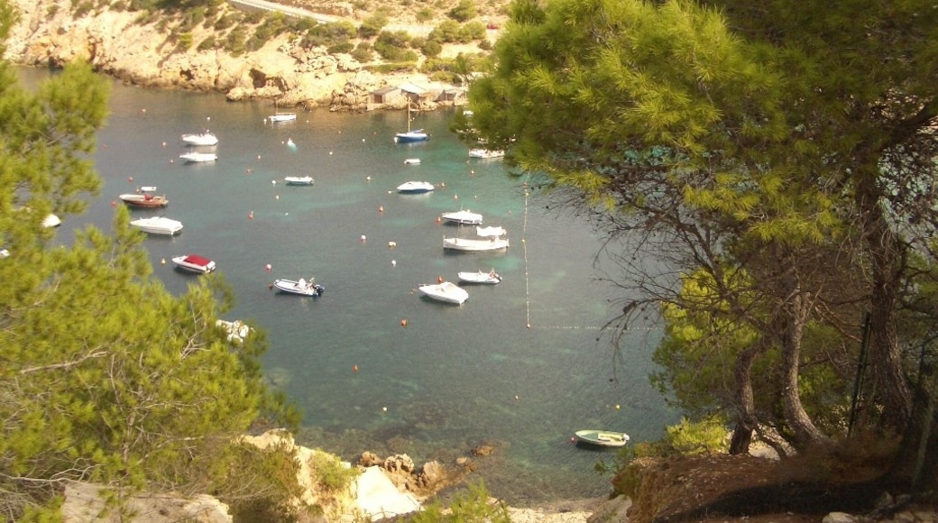 Photo "Cala Vadella" by sven.h (CC BY) / Cropped from original