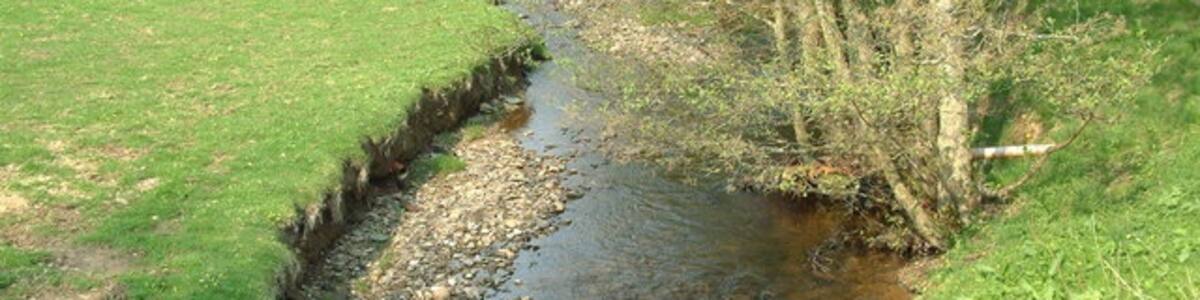 Photo "Garry Burn. Small burn flowing past visitor centre south of Bankfoot village." by James Allan (Creative Commons Attribution-Share Alike 2.0) / Cropped from original
