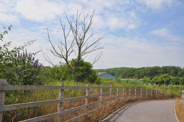 Footpath off Penarth Road - Cardiff The path leads across to Cardiff Bay via Penarth Moors. On its route there is a lookout point that provides views across Cardiff and the bay area.