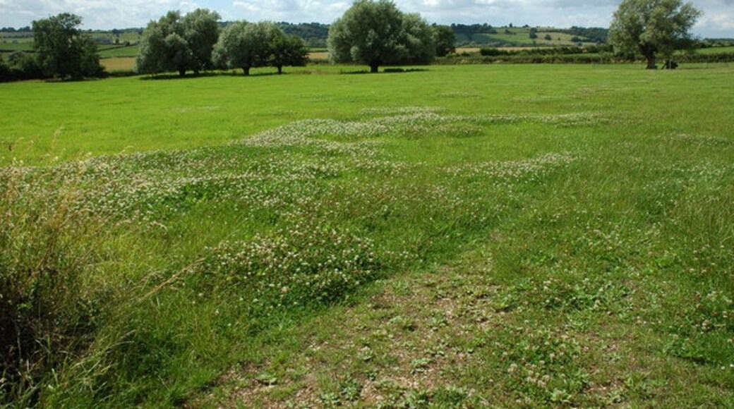 Billede "Sandhurst" af Philip Halling (CC BY-SA) / beskåret fra det originale billede