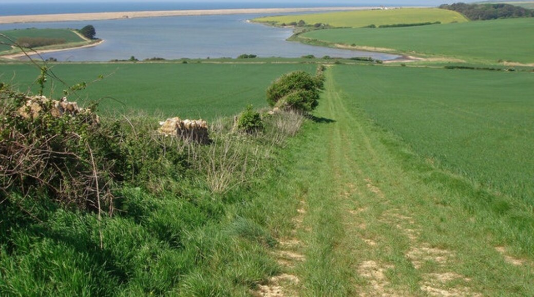 "Langton Herring"-foto av Ray Beer (CC BY-SA) / Urklipp från original