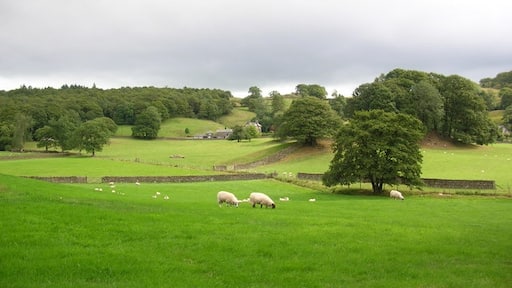 Photo "Near Sawrey" by DS Pugh (CC BY-SA) / Cropped from original