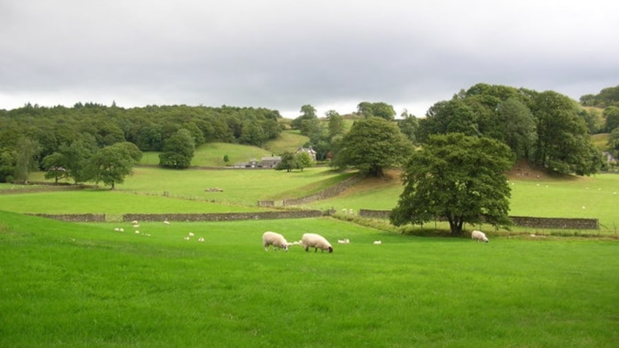 Photo "Between Near & Far Sawrey. Looking towards the North of Far Sawrey." by DS Pugh (Creative Commons Attribution-Share Alike 2.0) / Cropped from original