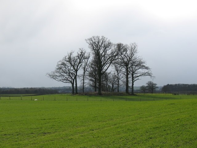 Photo "Langthorpe" by Gordon Hatton (CC BY-SA) / Cropped from original