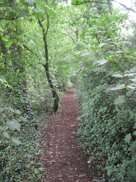 View of Footpath near Cherry Farm